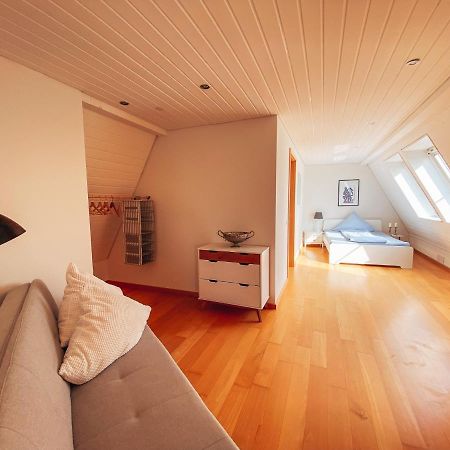 Rheinloft 3 - Grosse Giebelwohnung Mit Dachterrassen An Der Rheinpromenade Еммеріх Екстер'єр фото