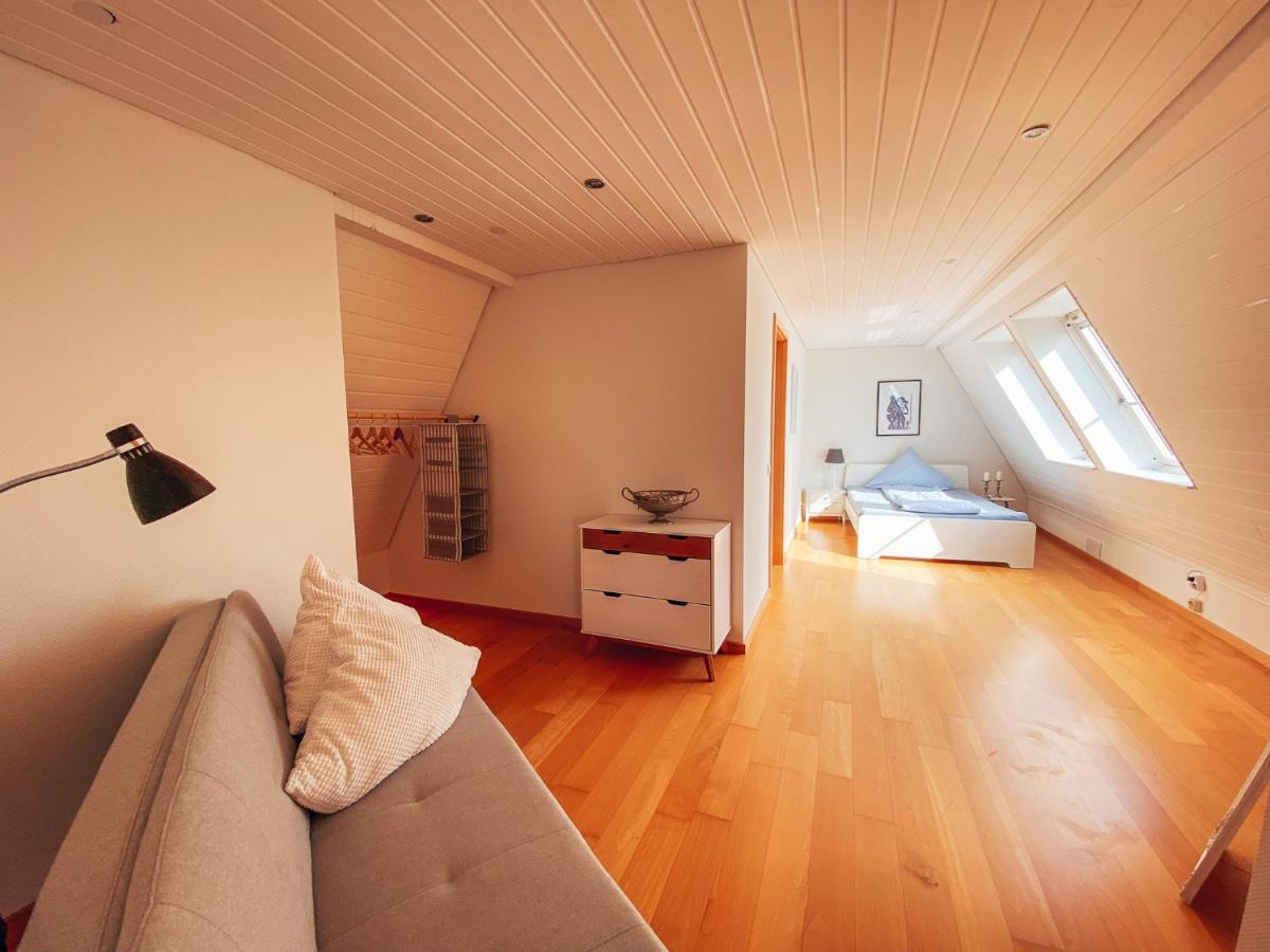 Rheinloft 3 - Grosse Giebelwohnung Mit Dachterrassen An Der Rheinpromenade Еммеріх Екстер'єр фото